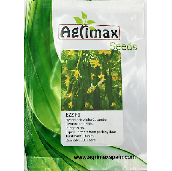 Cucumber Ezz F1 Premium Quality Seeds – image 1