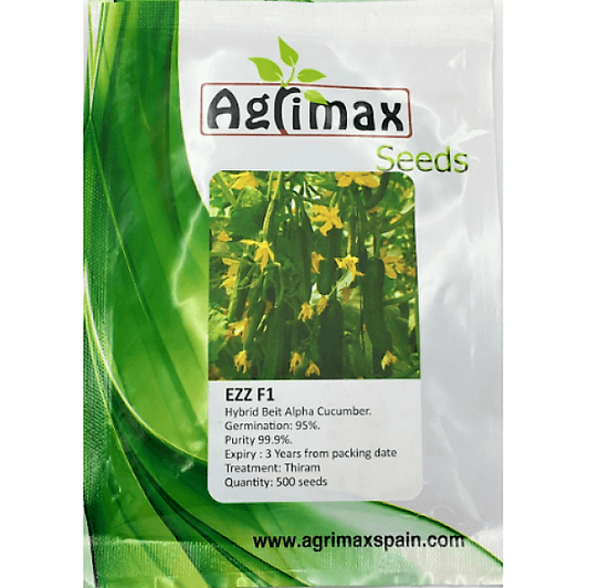 Cucumber Ezz F1 Premium Quality Seeds – image 1