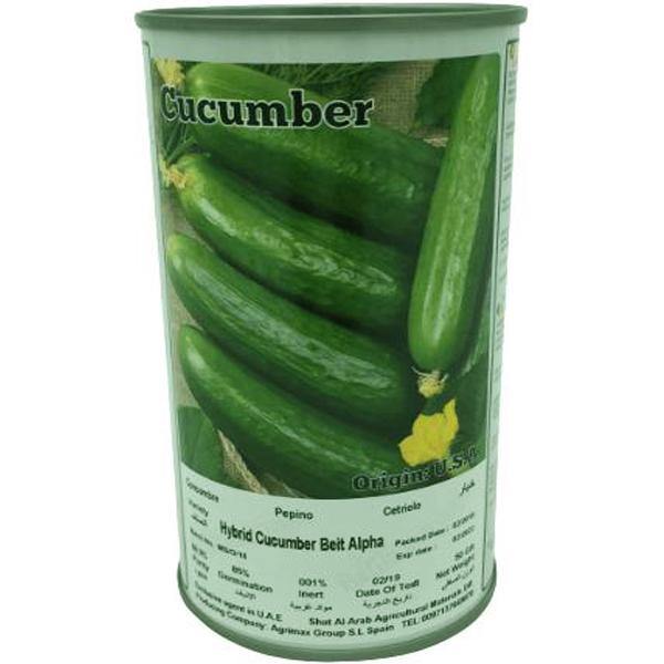 Hybrid Cucumber Beit Alpha Seeds Tin – image 4