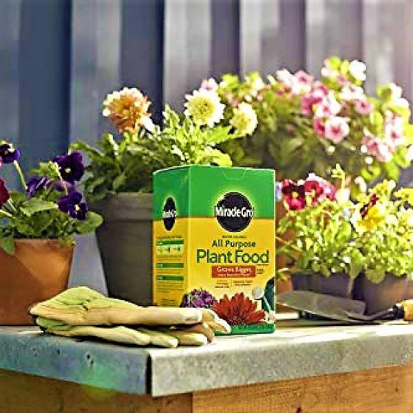 Miracle-Gro Water Soluble All Purpose Plant Food – image 3