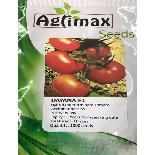 Dayana Indeterminate Tomato Premium Quality Seeds – image 1