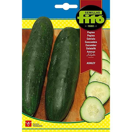 Semillas Cucumber Ashley Seeds – image 1