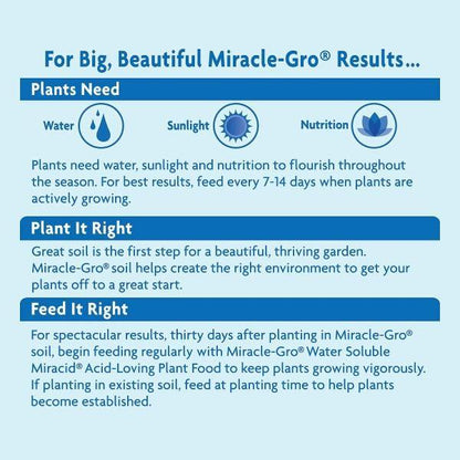 Miracle-Gro Acid-Loving Plant Food – image 5