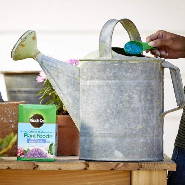 Miracle-Gro Acid-Loving Plant Food – image 3