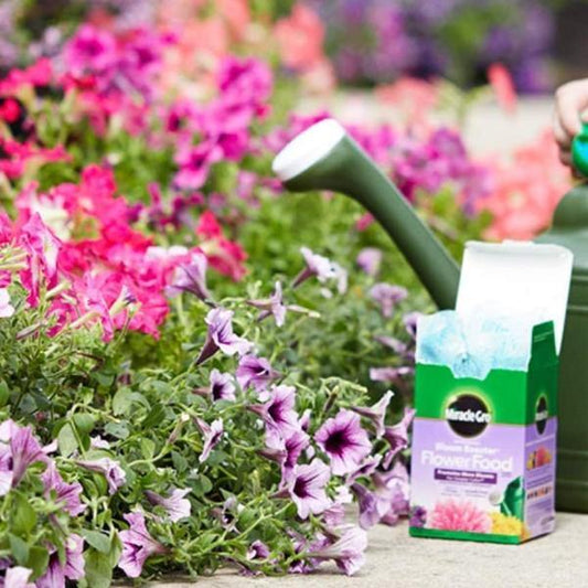 Miracle-Gro Water Soluble Bloom Booster Flower Food – image 2