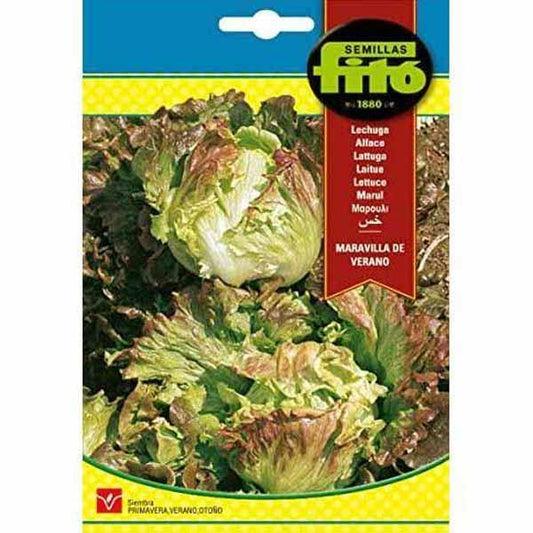 Lettuce Summer Marvel Seeds – image 1