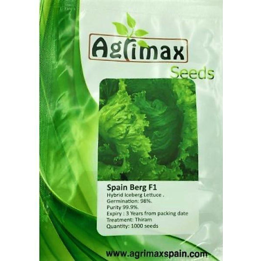 Lettuce Iceberg F1 Premium Seeds – image 2