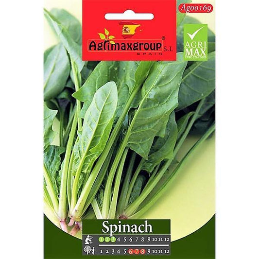 Spinach Seeds – image 1