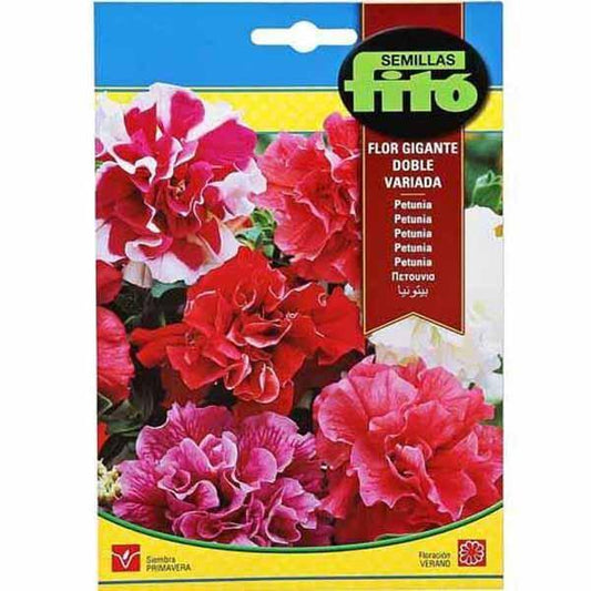 Petunia Multiflora Hybrid Double Mixed Seeds – image 1