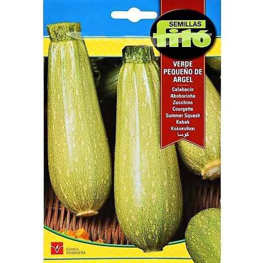 Squash Verde Pequeno De Argel Seeds – image 1