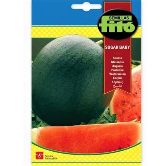 Watermelon Sugar Baby Seeds – image 1