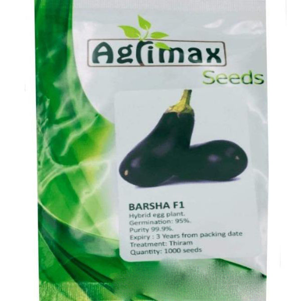 Egg Plant Barsha F1 Premium Quality Seeds – image 3