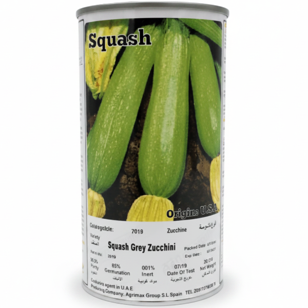 Gray Squash Zucchini Seeds Tin – image 1