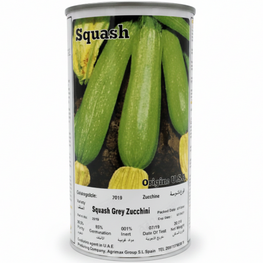 Gray Squash Zucchini Seeds Tin – image 1