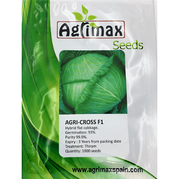 Cabbage Agri, Cross F1 Premium Quality Seeds – image 1