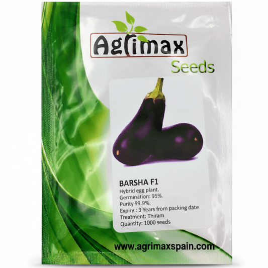 Egg Plant Barsha F1 Premium Quality Seeds – image 1