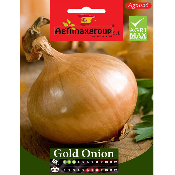 Gold Onion Seeds – image 1