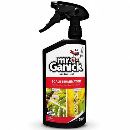 Organic Mealybug and Scale Terminator Spray – image 1