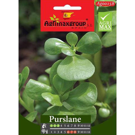 Purslane Seeds – image 1