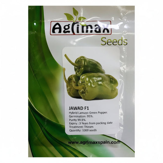 Jawad Lamuyo Green Paper F1 Premium Quality Seeds – image 1