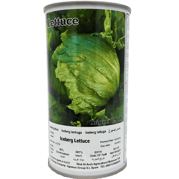 Iceberg Lettuce Seeds Tin – image 1