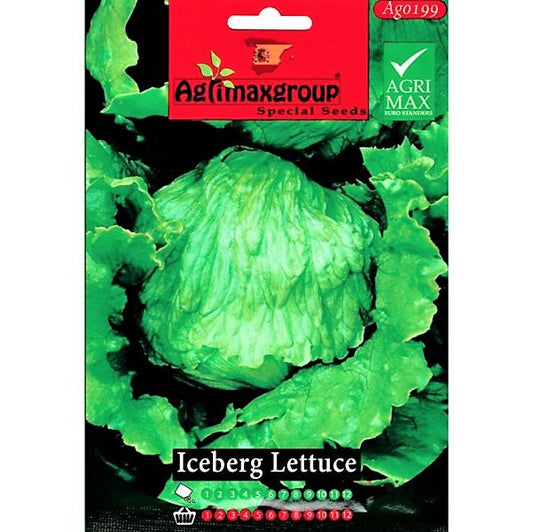 Iceberg Lettuce Seeds – image 1
