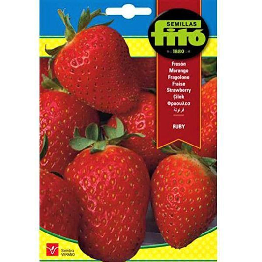 Ruby Strawberry Seeds Seeds – image 1