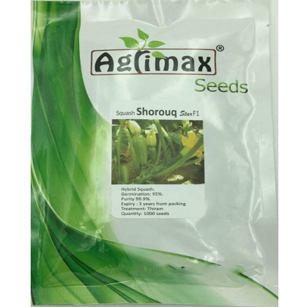 Squash F1 Premium Quality Seeds – image 1