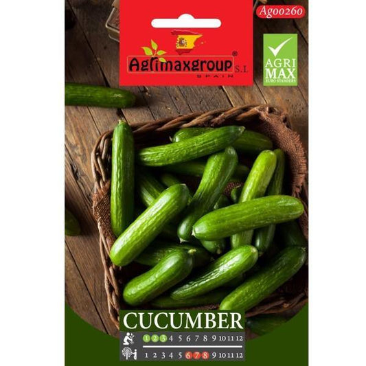 Cucumber Seeds – image 1