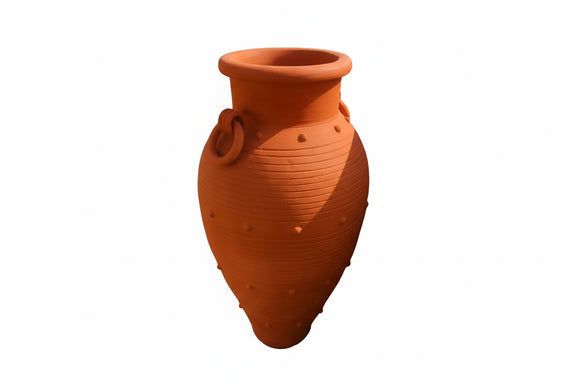 Ring Handle Terracotta Amphora Urn – Green Plants