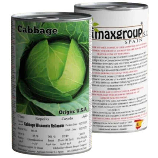 Cabbage Wisconsin Hollander Seeds Tin – image 1