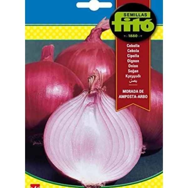 Morada de Amposta Arbo Seeds – image 1