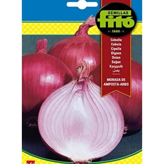 Morada de Amposta Arbo Seeds – image 1