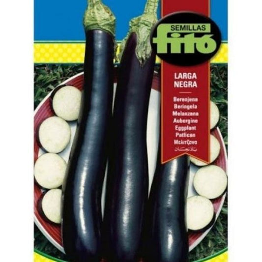 Eggplant Larga Negra Seeds – image 1