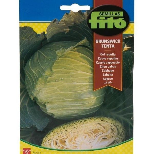 Col Repollo Brunswick Tenta Seeds – image 1