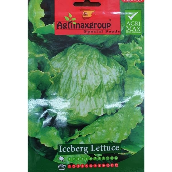 Iceberg Lettuce Seeds – image 2