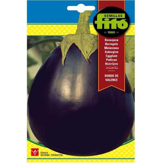 Eggplant Redonda Negra Lisa Seeds – image 1