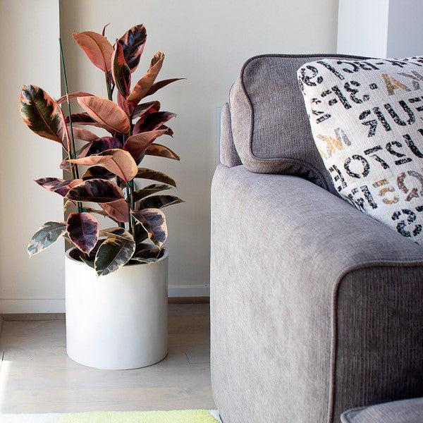 Round GRP Pot Planter, High Quality Durable – image 4