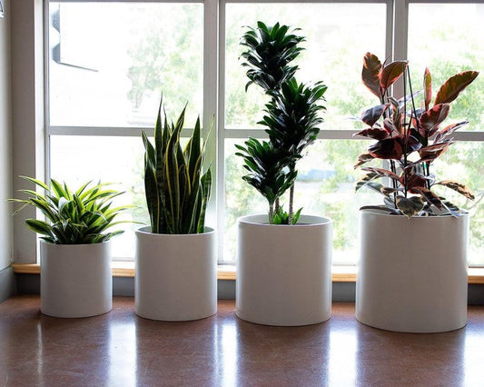Round GRP Pot Planter, High Quality Durable – image 2