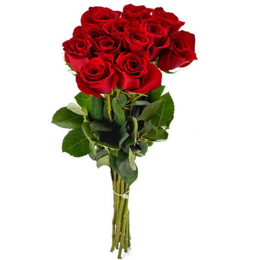 Fresh Red Rose – image 1