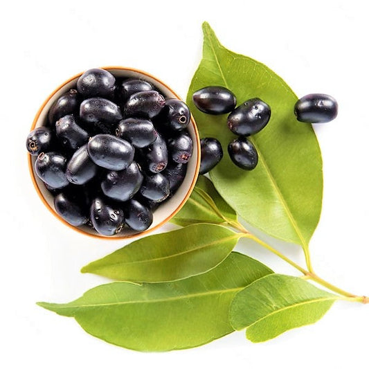 Black Plum, Syzygium Cumini, Java Plum, Jamun, Jambolan – image 2