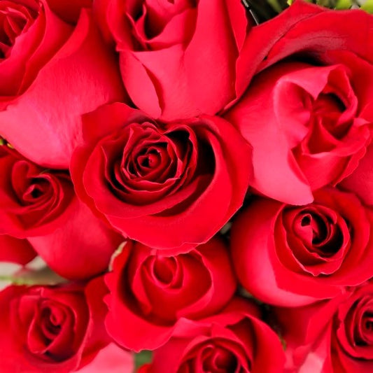 Fresh Red Roses and Bouquet – image 2