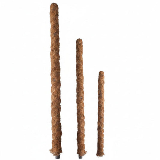 Plant Support Stick (moss/coir) – image 1